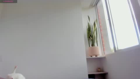 Xavier online show from 18, 1, 2026