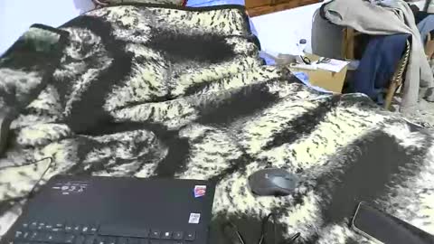 Snapshot of xaxi3 chatting on 15, 3, 2026 xaxi3 online show from 15, 3, 2026