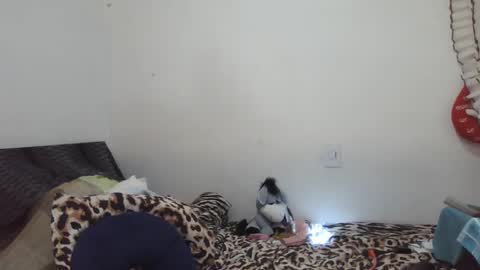 Ximena online show from 17, 2, 2025