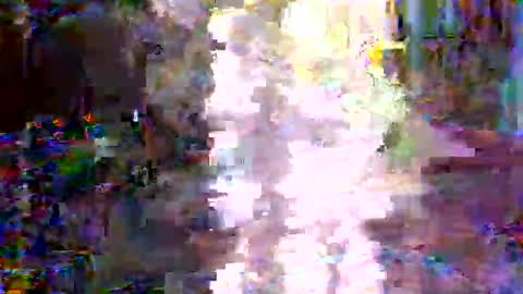 xixo6969 online show from 3, 2, 2026