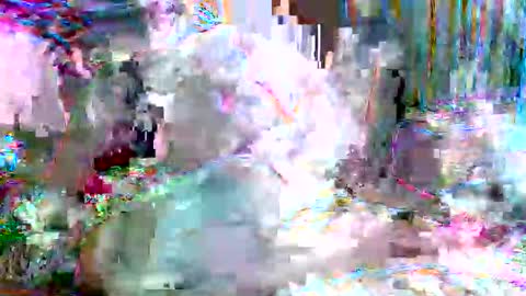 xixo6969 online show from 20, 2, 2026