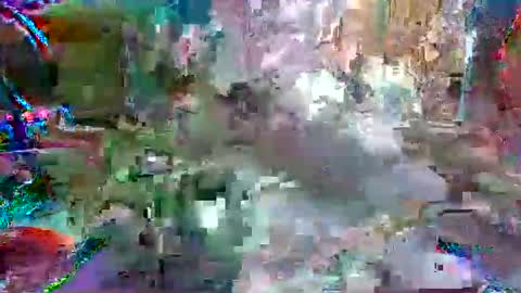 xixo6969 online show from 12, 4, 2026