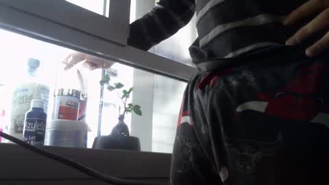 xoxopum online show from 12, 1, 2025