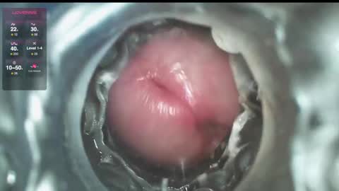 xoxowtf online show from 1, 12, 2024