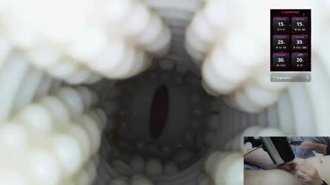 xoxowtf online show from 1, 3, 2026