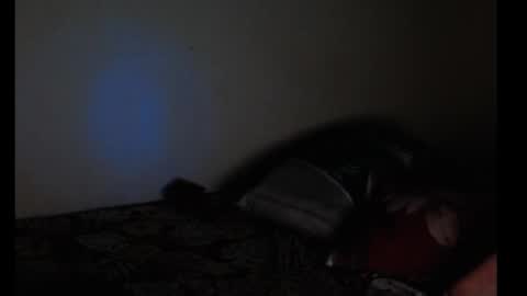 merayel online show from 13, 9, 2025