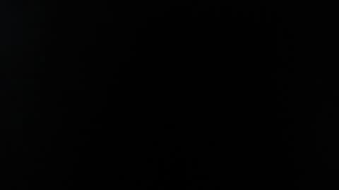 wuulmarpoltieer online show from 5, 12, 2024