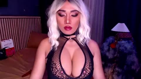 cinddy online show from 19, 11, 2025