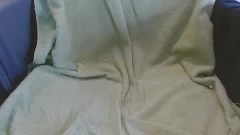 Snapshot of xxlecheroxx chatting on 20, 11, 2025 xxlecheroxx online show from 20, 11, 2025