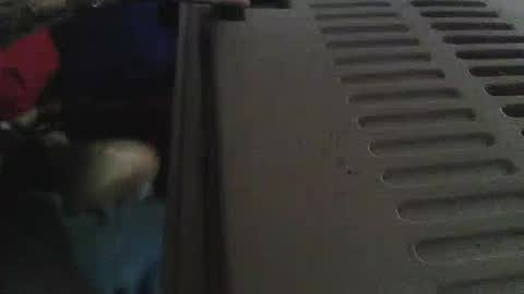 Snapshot of xxxboytoy_ chatting on 16, 5, 2026 Sean online show from 16, 5, 2026