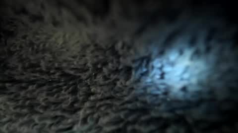 Snapshot of xxxdanidoomsdayxxx chatting on 5, 1, 2025 Danielle online show from 5, 1, 2025