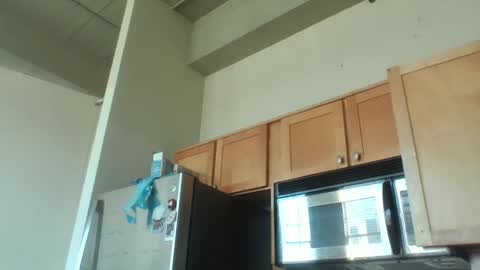 Danielle online show from 3, 12, 2025