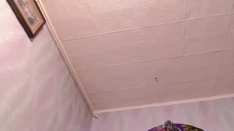 isa and gonzo online show from 20, 12, 2024