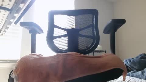 yahbuddy online show from 3, 10, 2025