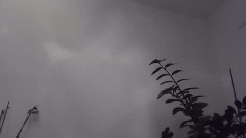 yakijoe online show from 6, 11, 2025