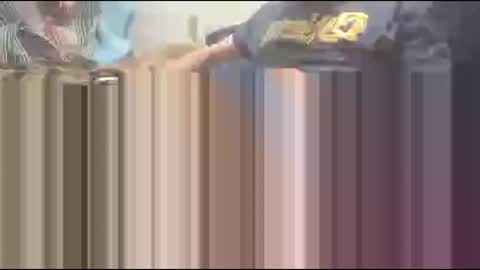 yangolox3 online show from 10, 3, 2026