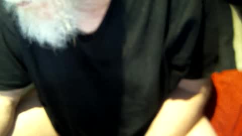 .     y e l l o w s n a k e s       . online show from 8, 3, 2025