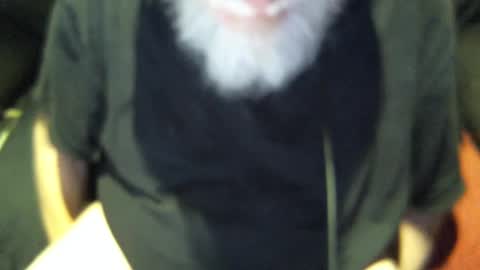 .     y e l l o w s n a k e s       . online show from 30, 9, 2025