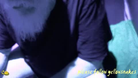 .     y e l l o w s n a k e s       . online show from 18, 12, 2025