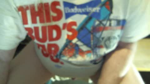 .     y e l l o w s n a k e s       . online show from 27, 2, 2026