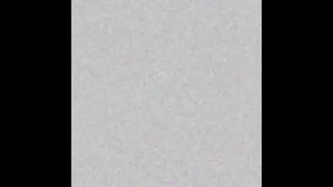 .     y e l l o w s n a k e s       . online show from 16, 3, 2026