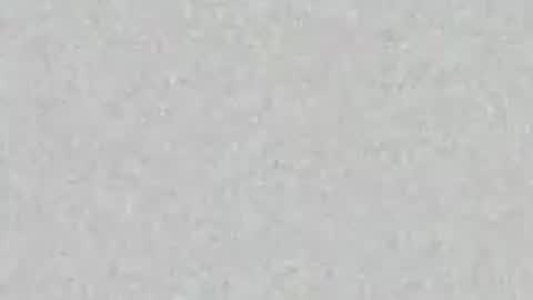 .     y e l l o w s n a k e s       . online show from 16, 4, 2026