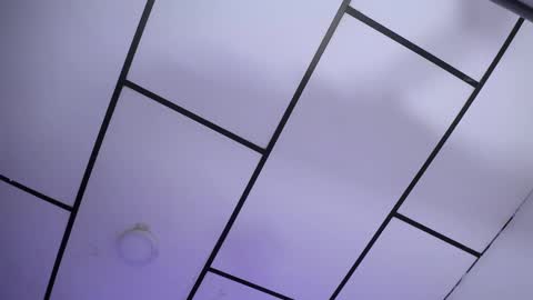 YEM online show from 7, 12, 2024