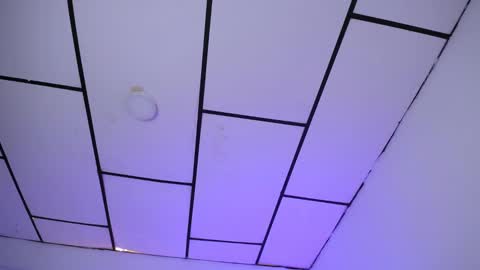 YEM online show from 8, 1, 2025