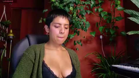 yeriawaddell  online show from 10, 6, 2026