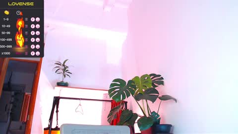 Enzo online show from 6, 1, 2025