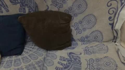 AlexBlack online show from 11, 1, 2026