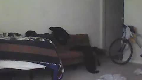 kindahorny online show from 15, 2, 2025