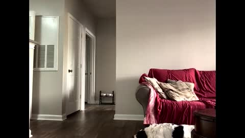 kindahorny online show from 14, 10, 2025