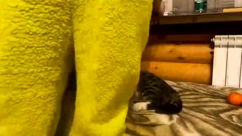 Fansly  online show from 31, 12, 2024