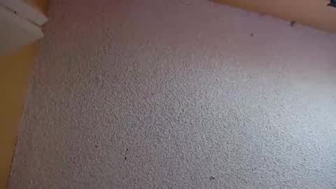 Sophiestar online show from 5, 3, 2026