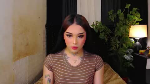 kim online show from 26, 11, 2025