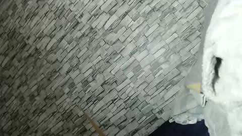 Snapshot of yourlittle_angel69 chatting on 23, 2, 2026 angel online show from 23, 2, 2026