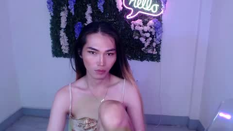    online show from 27, 12, 2024