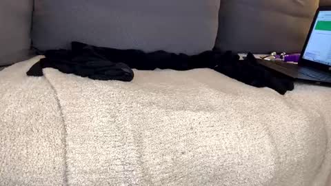 Alison online show from 5, 1, 2025