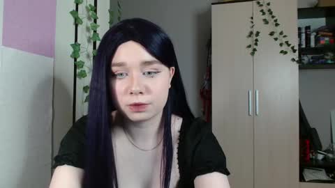 Eva online show from 15, 12, 2025