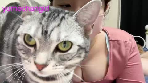 YumechangirlAnime Fan    online show from 6, 2, 2025