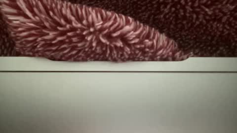 Snapshot of z95141 chatting on 22, 10, 2025 z95141 online show from 22, 10, 2025