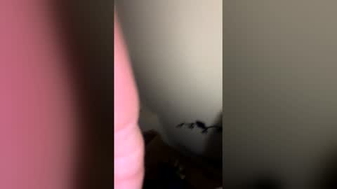 Snapshot of zachmurphbigboy chatting on 1, 3, 2026 zachmurphbigboy online show from 1, 3, 2026