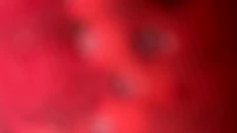 zachslime472 online show from 13, 3, 2026