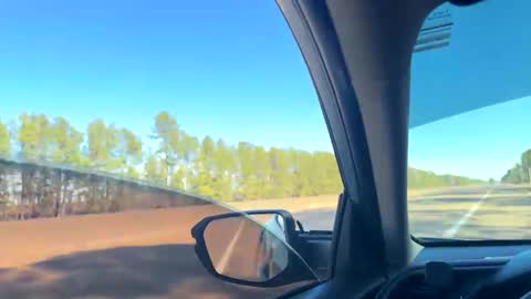 zadddy209 online show from 20, 1, 2025