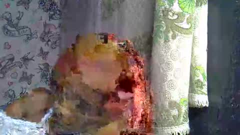 zarinamarlin online show from 18, 3, 2026