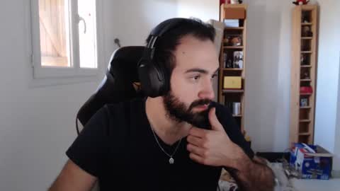 Grizzly Bear online show from 23, 1, 2025