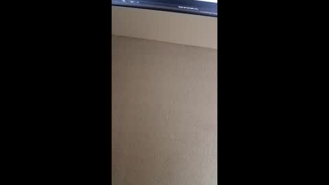 Snapshot of zchasebluesky22 chatting on 19, 5, 2026 zchasebluesky22 online show from 19, 5, 2026