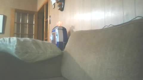 Snapshot of zenflow87 chatting on 8, 7, 2026 zenflow87 online show from 8, 7, 2026