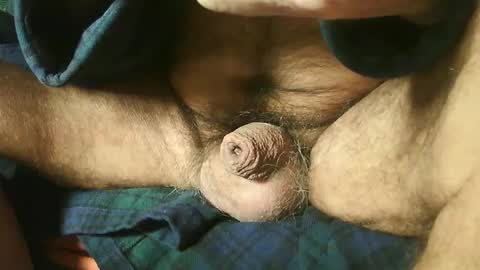 zevioo77 online show from 22, 12, 2024